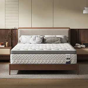 Queen Mattress 14 Inch, 5-Zone Deep Sleep Firm Mattress with Extra Lumbar & Shoulder Support, Hotel Collection Hybrid Mattresses Pain Relief, Fiberglass Free & No Odor, 365 Night Trial