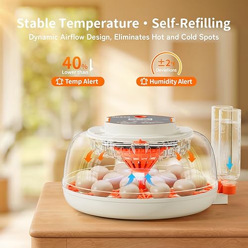 Miniatura 9 de Apdoe Incubadora de 12 huevos, incubadoras para incubar huevos, girador automático de huevos con control de temperatura, vela de huevos, reposición