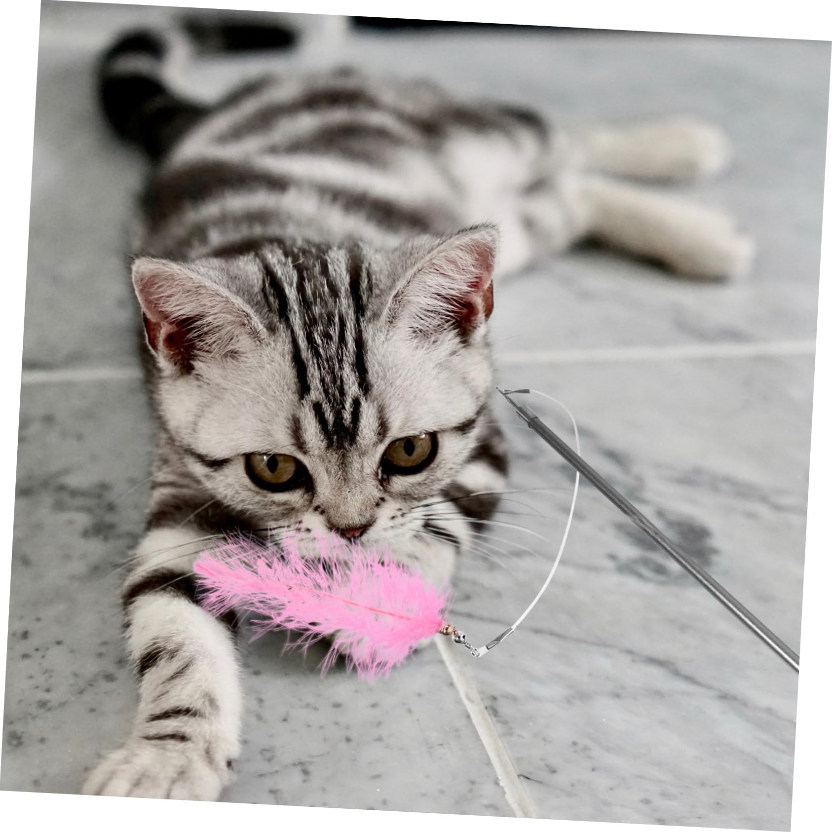 minkissy Lot De 3 Cannes À Pêche pour Chat avec 7 Réversibles pour Jeux D'intérieur (7 Pièces X 3)