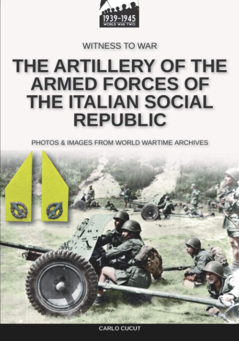 The artillery of the Armed Forces of the Italian Social Republic: 18 (Witness to War)