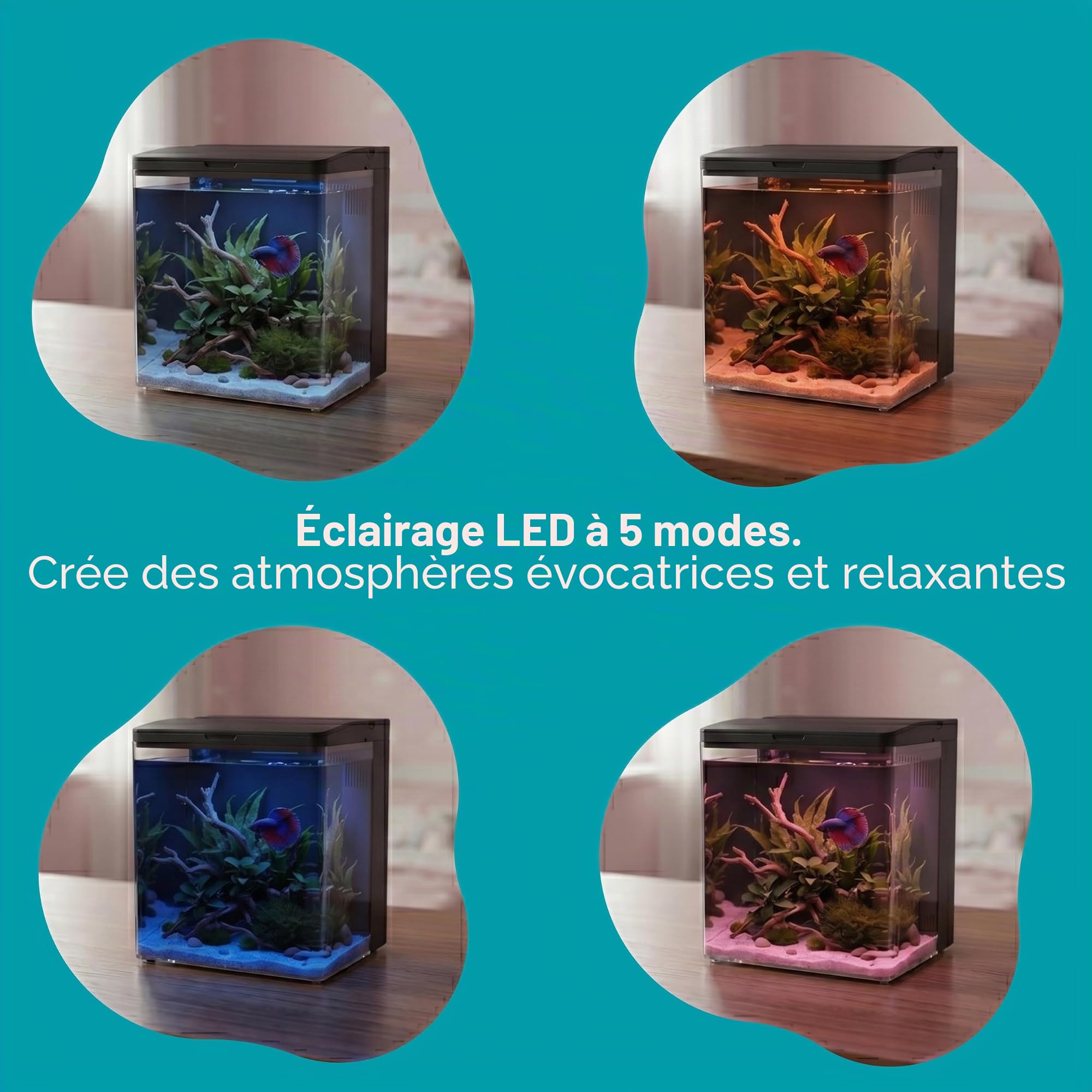 AQPET Neya Aquarium de Bureau avec Filtre et Pompe incluses, LED 5 Modes et Ports USB – Mini Aquarium en Acrylique avec Couvercle ouvrant, idéal pour Betta, Caridines et Plantes Aquatiques 5 l (Noir)