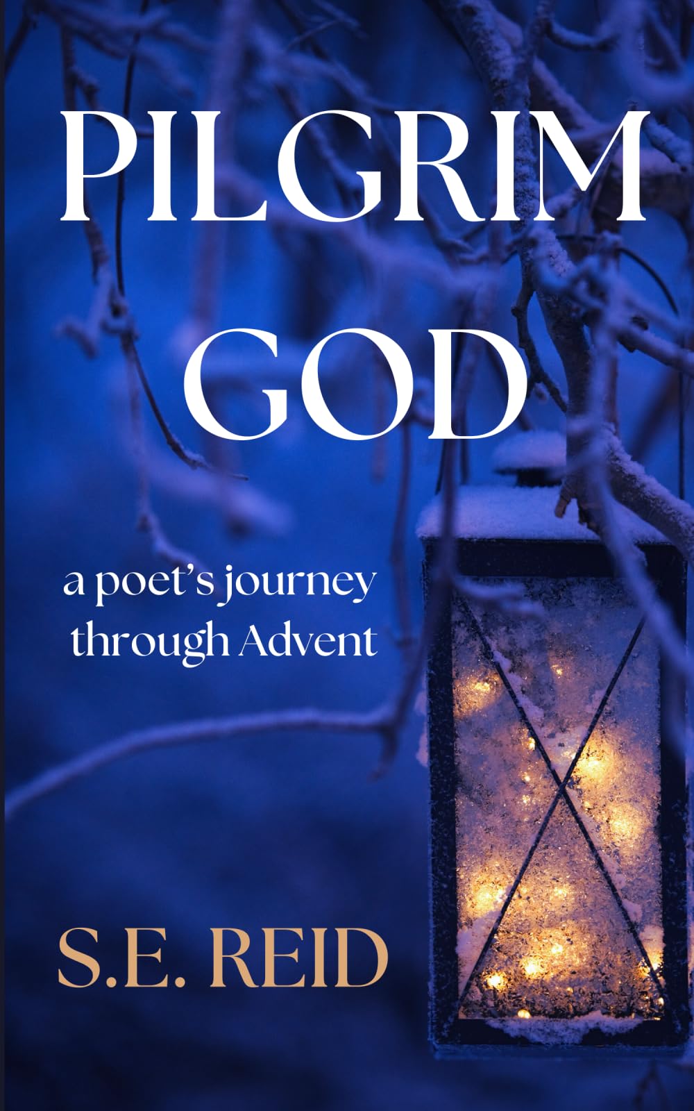 Pilgrim God: A Poet's Journey Through Advent