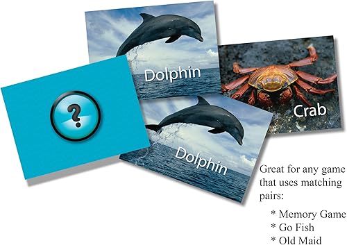 Miniatura 4 de Juego de memoria de Stages Learning, tarjetas con fotos reales, juego de concentración, Vida marina, Aguamarina (Aquamarine)