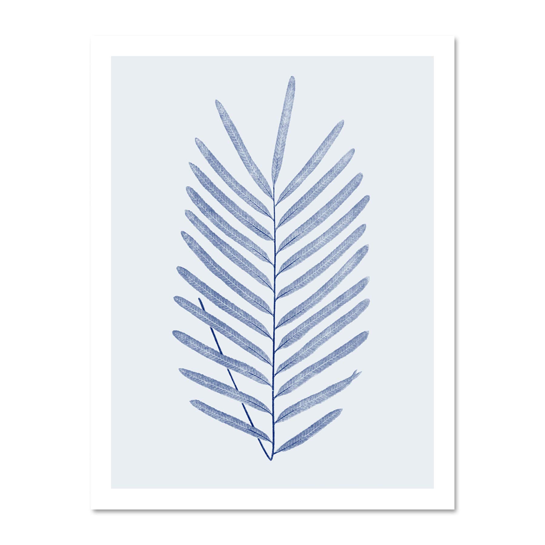 Wee Blue Coo Botanics Cobalt Fern Diversifolium Large White Framed Art Print Wall Poster 18x24 inch