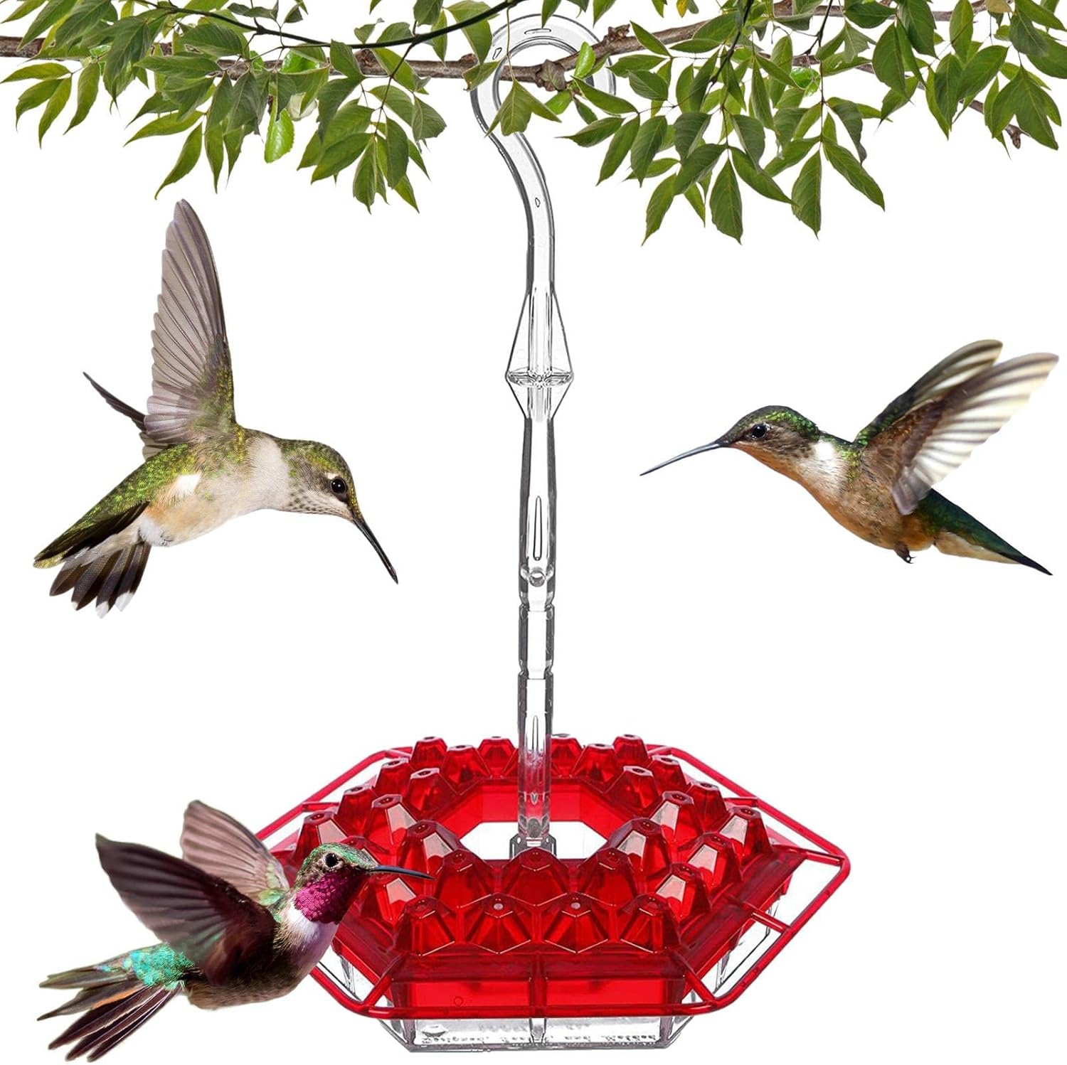 Humming Bird Feeders,Hummingbird Feeders with Lid and 30