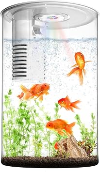 Fish Tank Night Light, 3 Gallon Fish Tank with Filter and Light, Self-Cleaning Desktop Aquarium Starter Kit & LED Lamp, 360 View for Small Fish, Kids Room & Home Decor 7Color