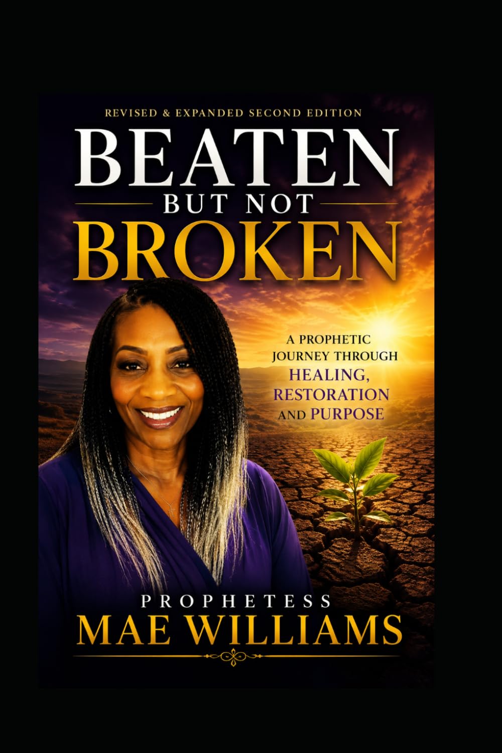 Beaten But Not Broken: A Prophetic Journey Through Healing, Restoration, and Purpose