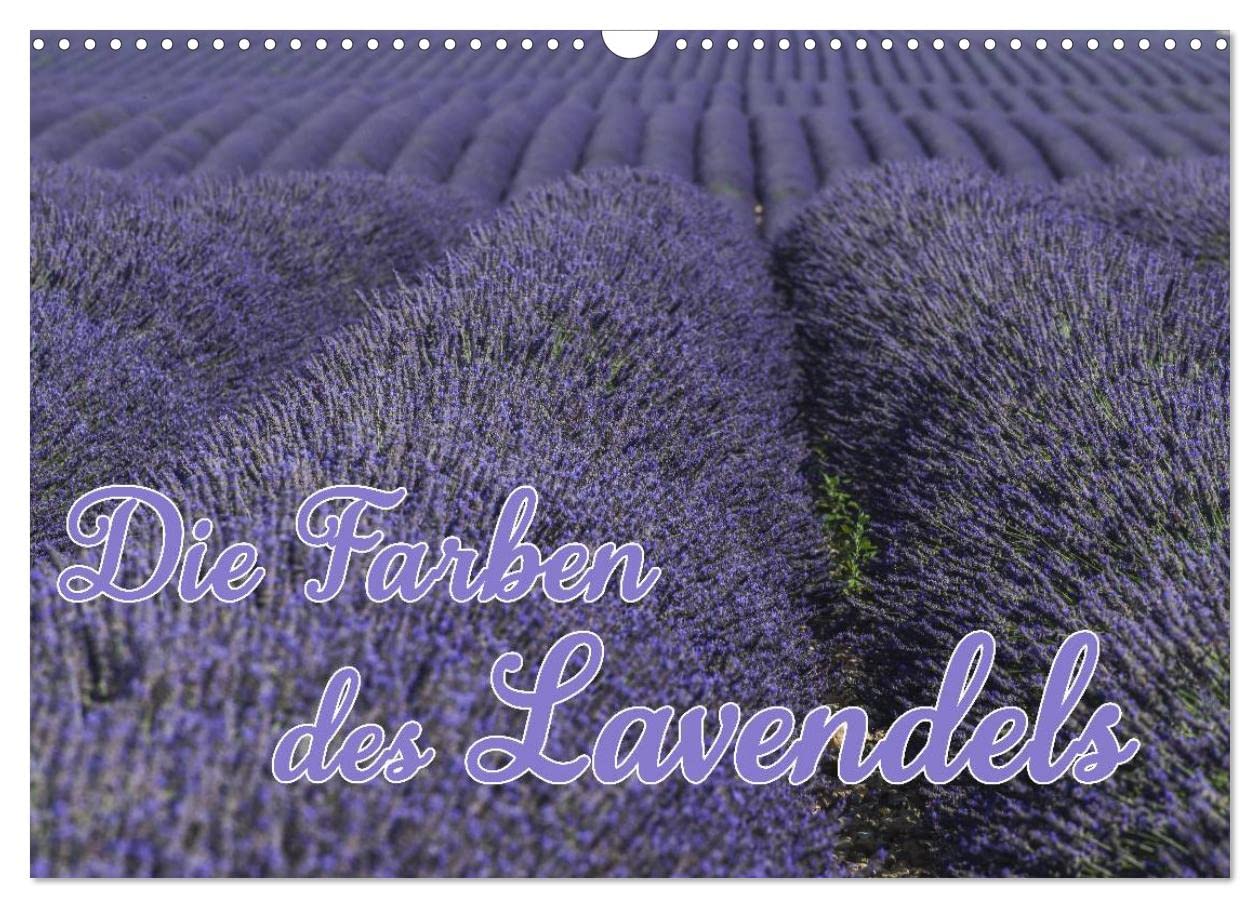 Die Farbe des Lavendels (Wandkalender 2026 DIN A3 quer), CALVENDO Monatskalender: Lavendel der Provence (CALVENDO Natur)