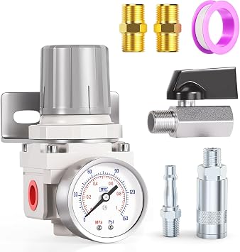 TAILONZ AR2000 1/4" BSP Pressure Regulator 0-1 MPA | Adjustable 0-1 MPA Pressure Control, For Compressed Air Systems.