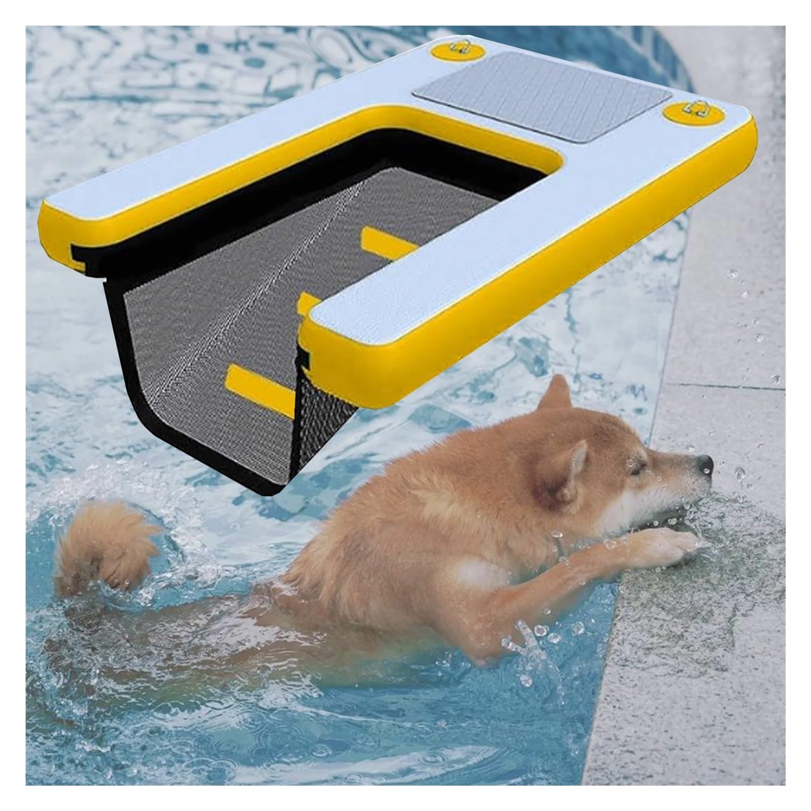 Rampe pliable pour chien pour piscine, lac et bateau avec patin antidérapant