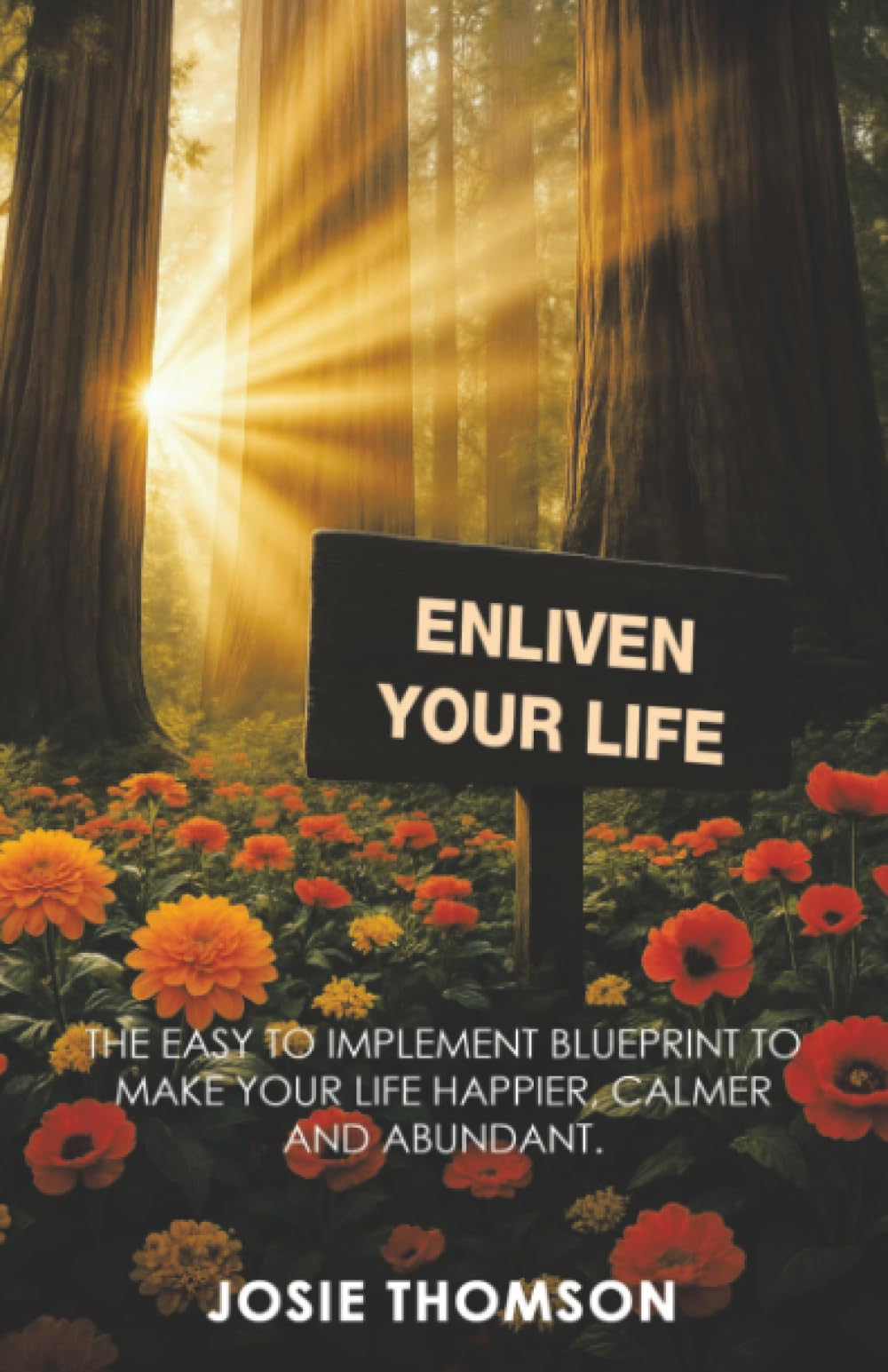 ENLIVEN YOUR LIFE: The Easy to Implement Blueprint to Make Your Life Happier, Calmer and Abundant.