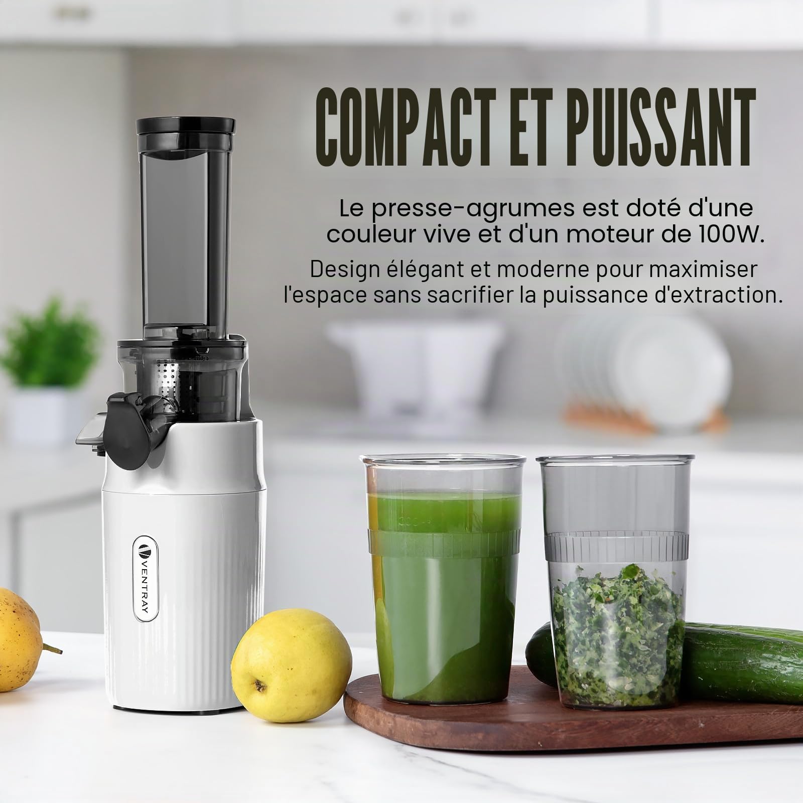 Ventray Ginnie Extracteur de Jus - Slow Juicer Pression Douce 60 Tours, Presse à froid, Sans BPA, Blanc