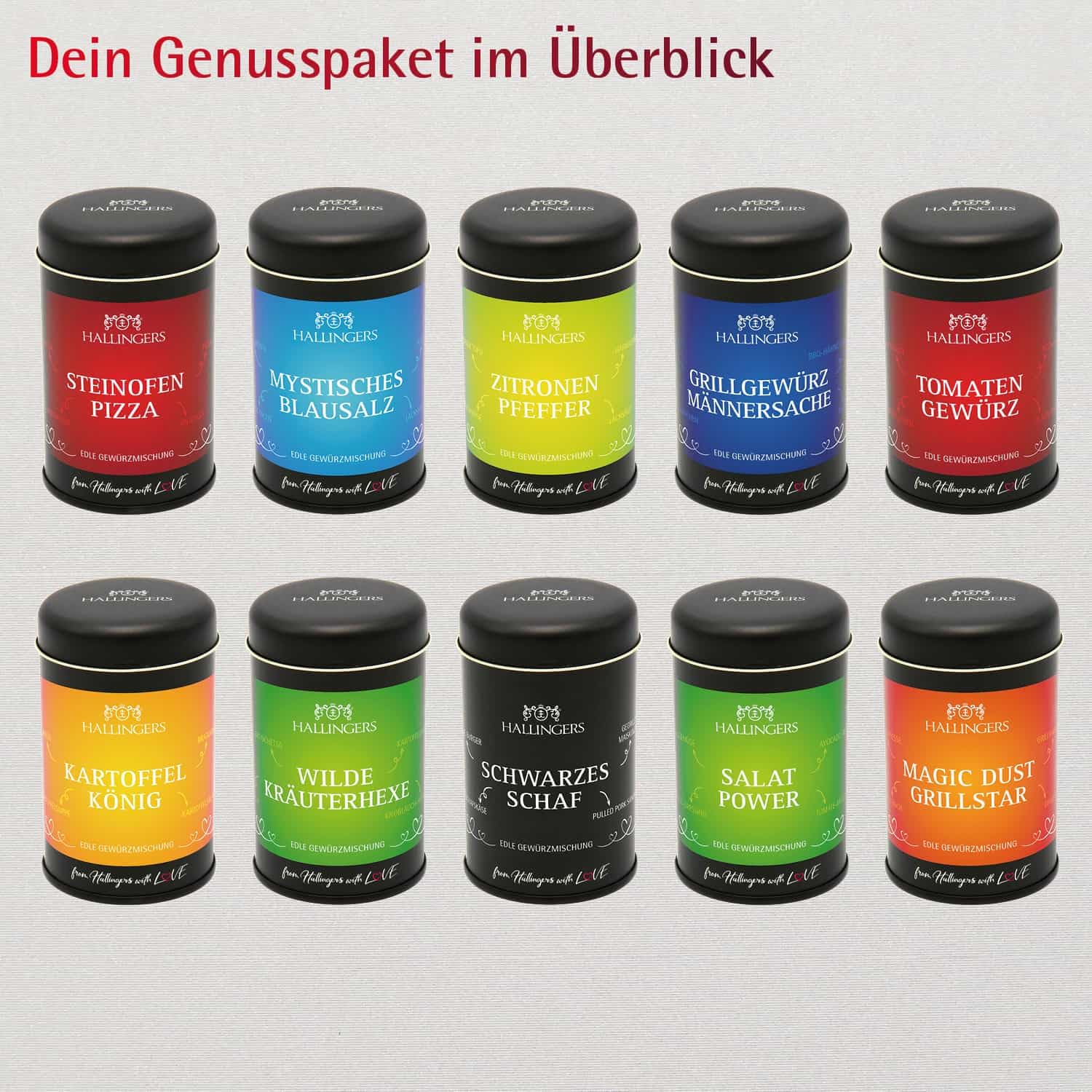Hallingers Genuss Manufaktur Gewürz Geschenk-Set - Selektion unserer Besteller als Probierset in edlen Aromadosen & Tragetasche "Best of Hallingers", Geschenkidee für Frauen Männer