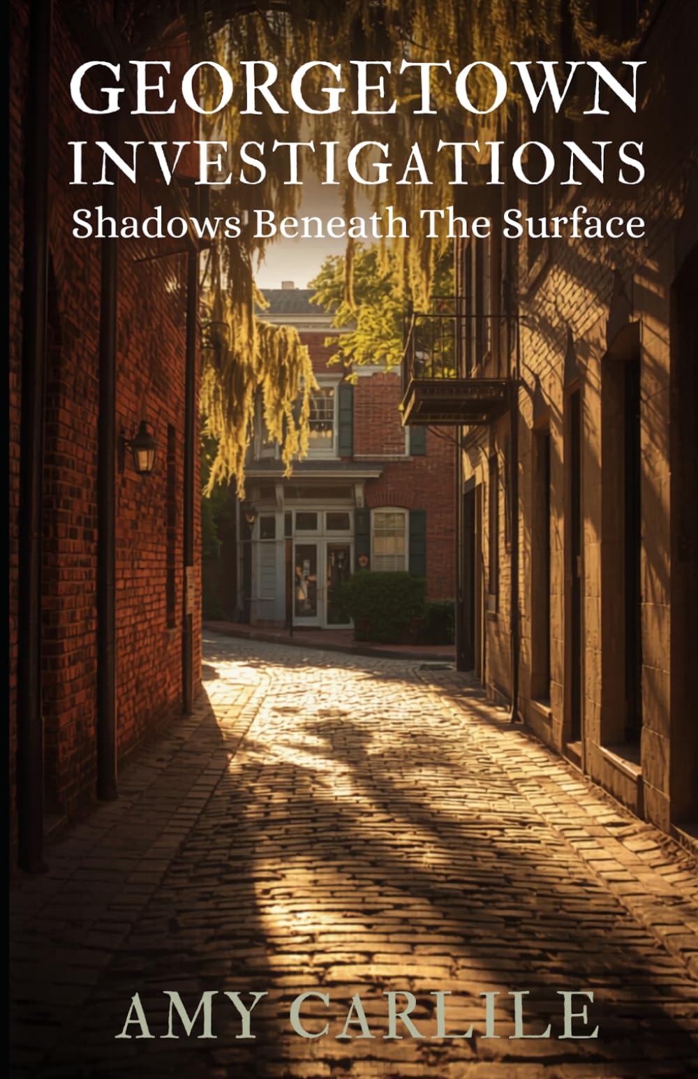 Georgetown Investigations: Shadows Beneath the Surface: 1