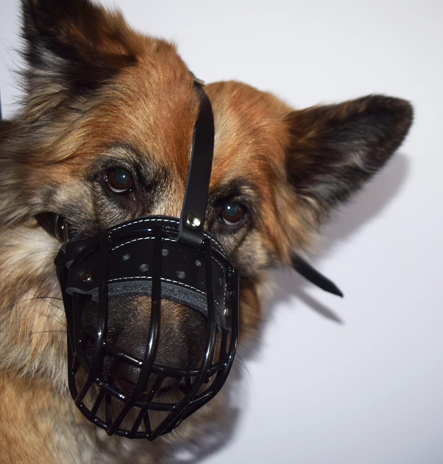 L&J Pets Uk New Polymer coated Wire Muzzle Wire Basket Dog Muzzle STRONG Metal for German Shepherd, Labrador & other small dogs (7)