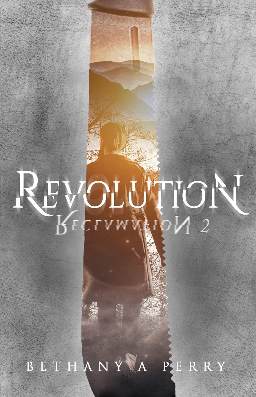 Reclamation 2: Revolution (The Reclamation Series): Perry, Bethany A ...