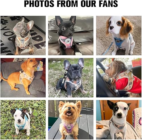 Miniatura 7 de BEAUTYZOO Juego de arnés y correa para perro, arnés reflectante con patrón floral para perro, sin tirones, sin estrangulamiento, arnés para