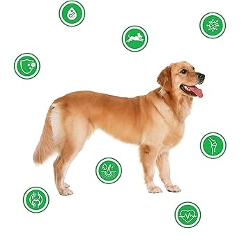 みかんさん専用近赤外線ベルト Velbon（ベルボン） 赤外線リモコン TWIN1 R4U - ハクバ写真産業