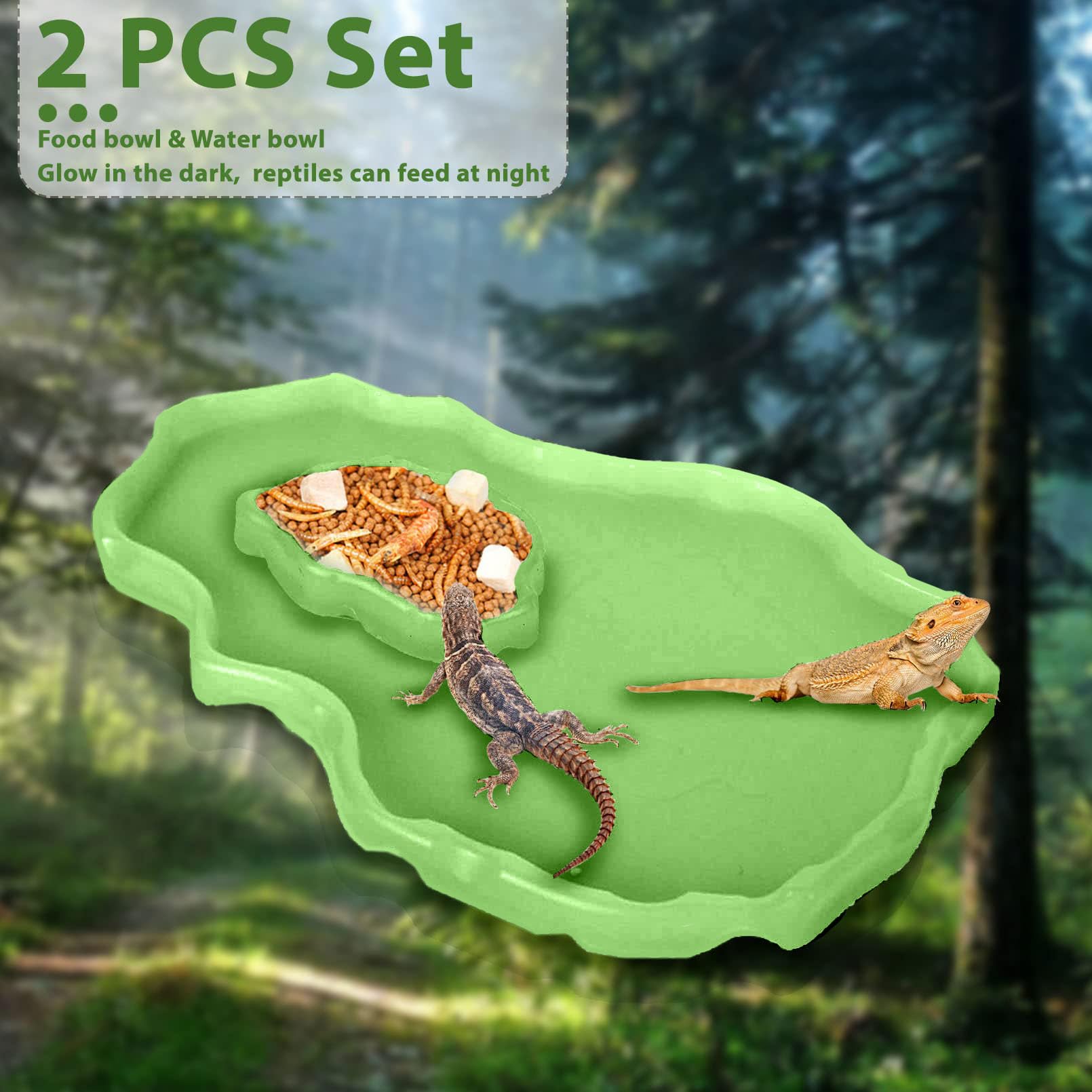 Alimentador de tortugas para alimentos y agua, para reptiles, platos grandes y pequeños de plástico, para un conjunto para lagarto, camaleón, Iguana, serpiente Gecko 2 unidades