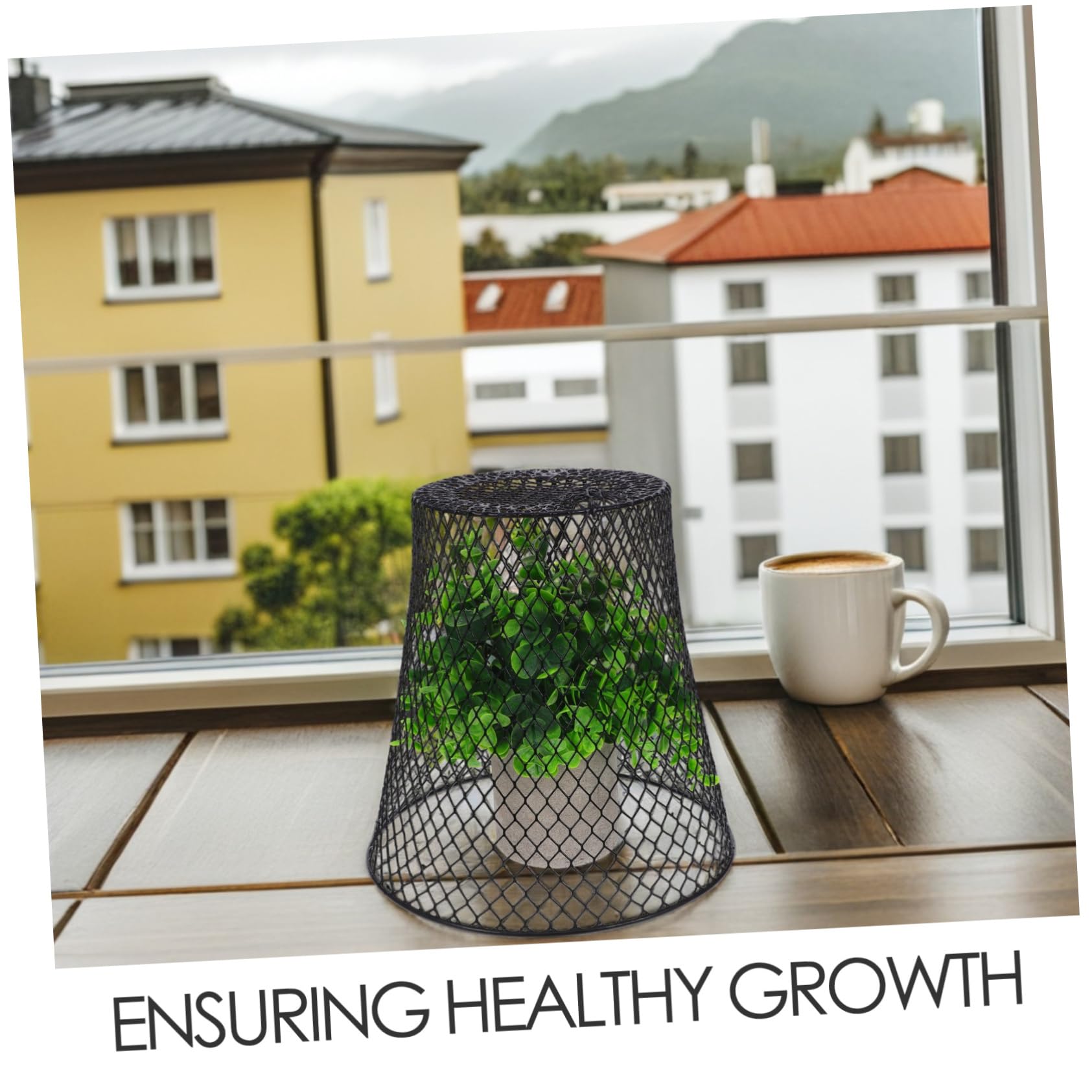 HEMOTON Cloches De Protection pour Plantes Cages Métalliques Robustes Fil De Fer pour Semis Et Légumes Utilisables Extérieur sur Balcon Petits Jardins