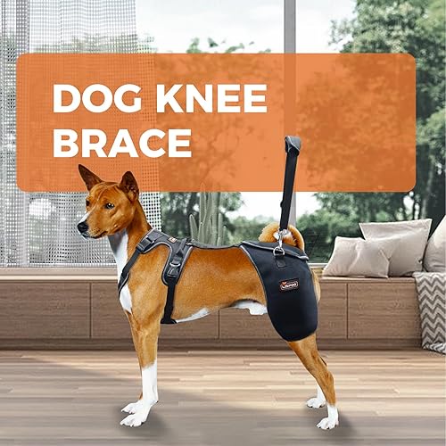 Miniatura 8 de Soporte de cadera para perro para displasia de cadera, dolor de cadera, soporte de cadera para perro para pátela luxante, soporte de cadera para