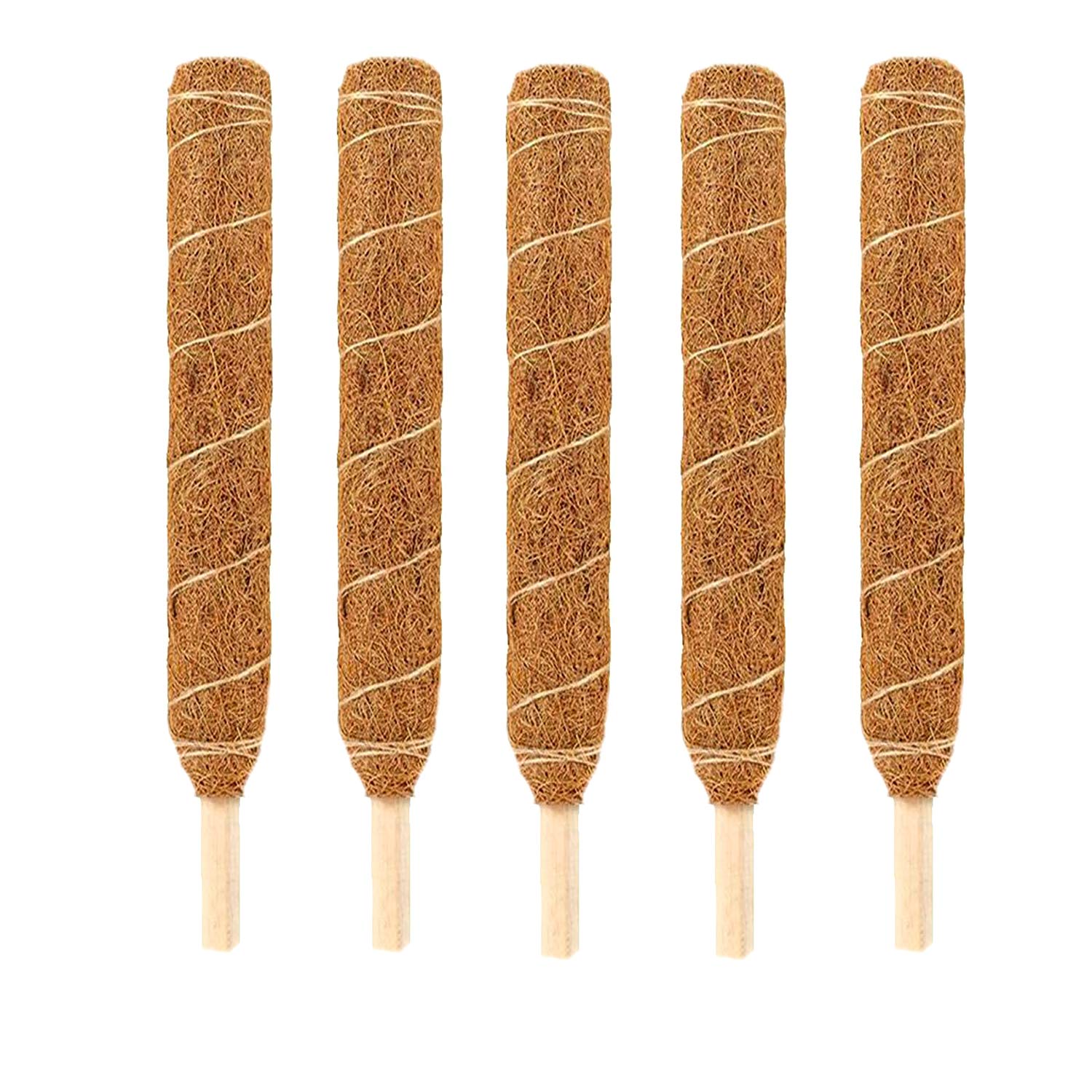 LIVEONCE Coco Pole -Moss and Coir Stick for Indoor, House and Plant Creepers Support 3 FEET -Pack of 5 -Color -Natural (B08P1XWLQQ) Amazon Price History, Amazon Price Tracker