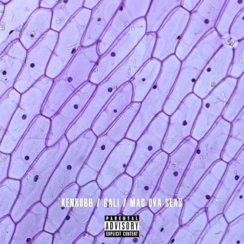 Get Dat (feat. mac ova seas, KenRobb) [Explicit]