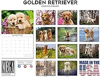 Vista 1115 de Razas de Perros 2017