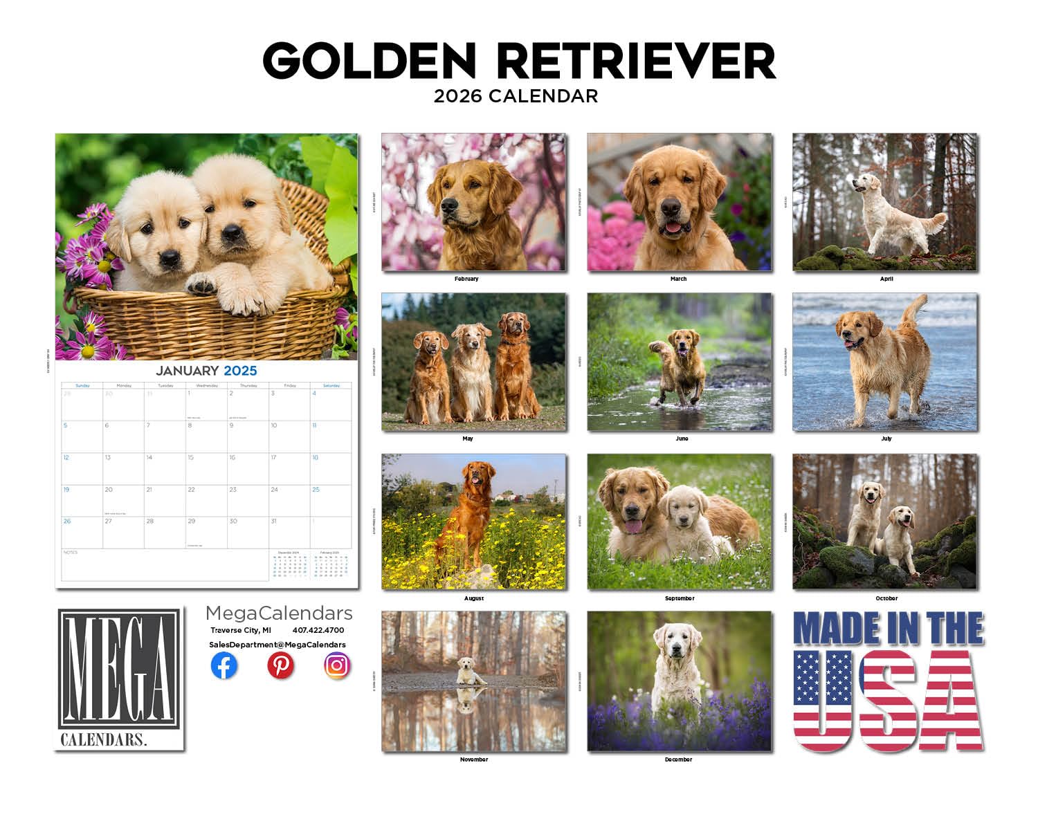 Kalendarz Golden Retriever 2024 2025 - miesięczny kalendarz ścienny rasy psów, 30 x 45 cm, otwarty, gruby papier bez przebarwień, prezent - akademicki planer nauczyciela, kalendarz, organizowanie i