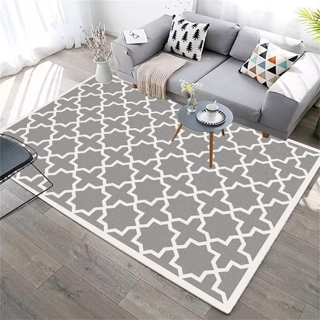 Tapis de salon lavable et doux résout le problème de l'entretien gris