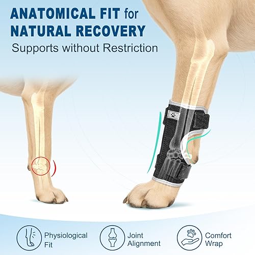 Miniatura 6 de Soporte de pierna delantera para perro férula ajustable para tobillo, pierna delantera, tobillo, extremidad de poro, envoltura de esguince con