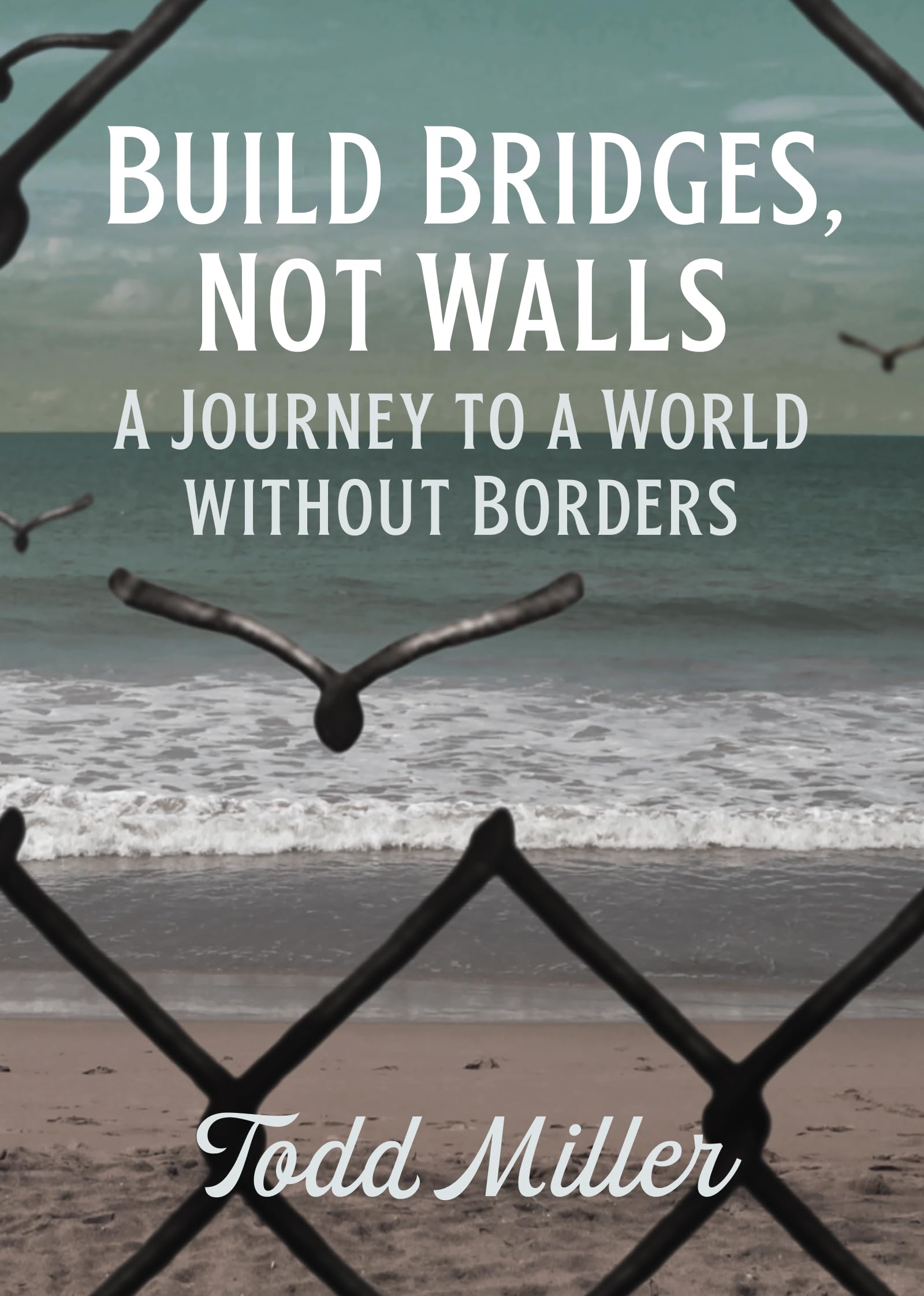 Build Bridges, Not Walls by Todd Miller - 9780872868342