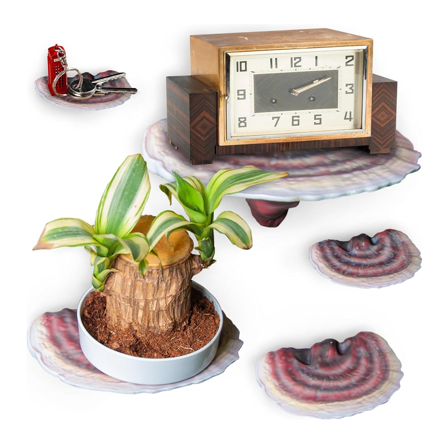 Wiosi 5-Piece Turkey Tail Reishi Mushroom Floating Shelves for Decorating Wall | Shelves for Room Wall | Perfect Floating Shelves for Room Decor |