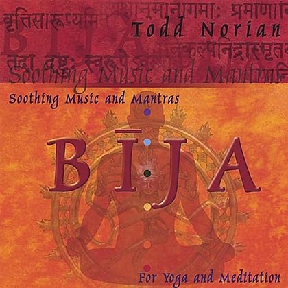 その他 Meditations on the Gita [CD] 81-QrcStCGL._UF350,350_QL50_.jpg