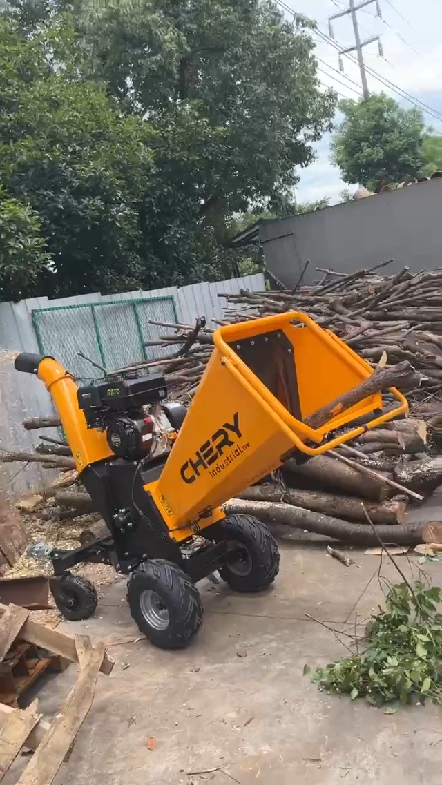 Watch ATOVER 420cc Wood Chipper Shredder Mulcher, on Amazon Live