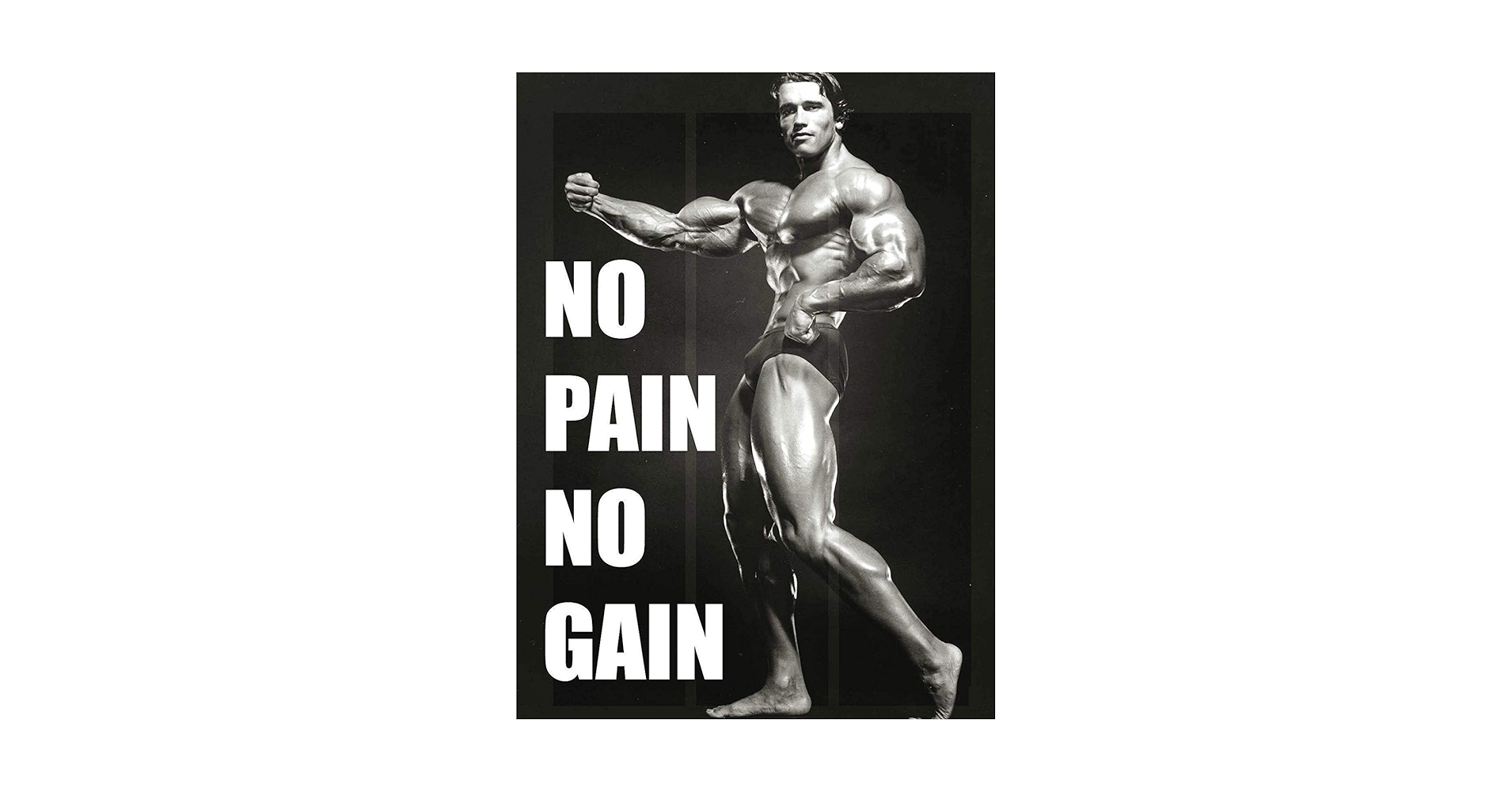 額装済/アーノルド・シュワルツェネッガー/ロジャー マッケンジー/アートポスター Amazon.co.jp: アーノルドシュワルツェネッガーボディービル