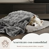 Ver la foto 7