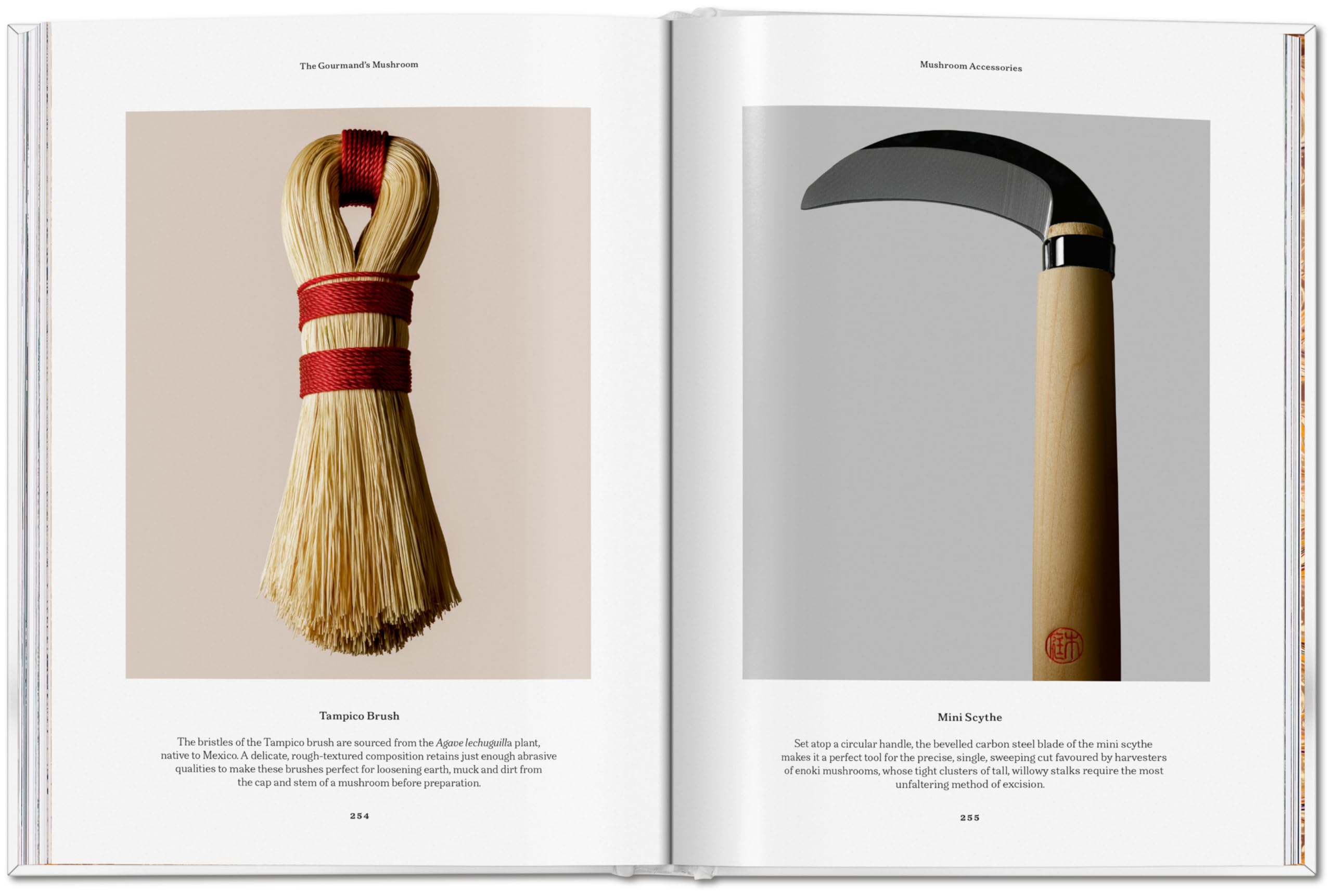 The Gourmand's Mushroom: A Collection of Stories and Recipes