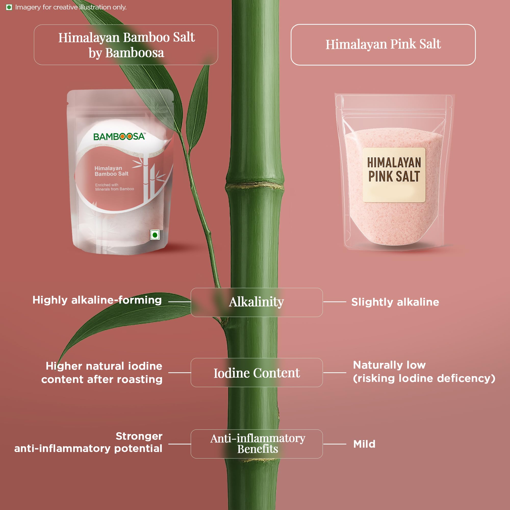 BAMBOOSA Himalayan Bamboo Salt 500g | Naturally Iodised Himalayan Salt | Roasted in Bamboo for 70+ Trace Minerals | Alkaline, Mineral Rich, Low Sodium Salt for Healthy Cooking - Image 4 thumbnail