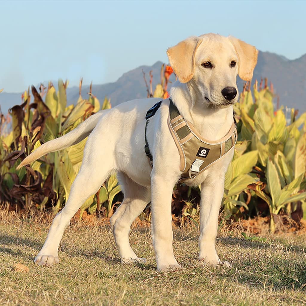 Arnés para perro sin tirones con tira reflectante de seguridad, hebilla de liberación rápida, tamaño ajustable, mango de fácil control, XL, peso recomendado: 22,5 kg a 45 kg