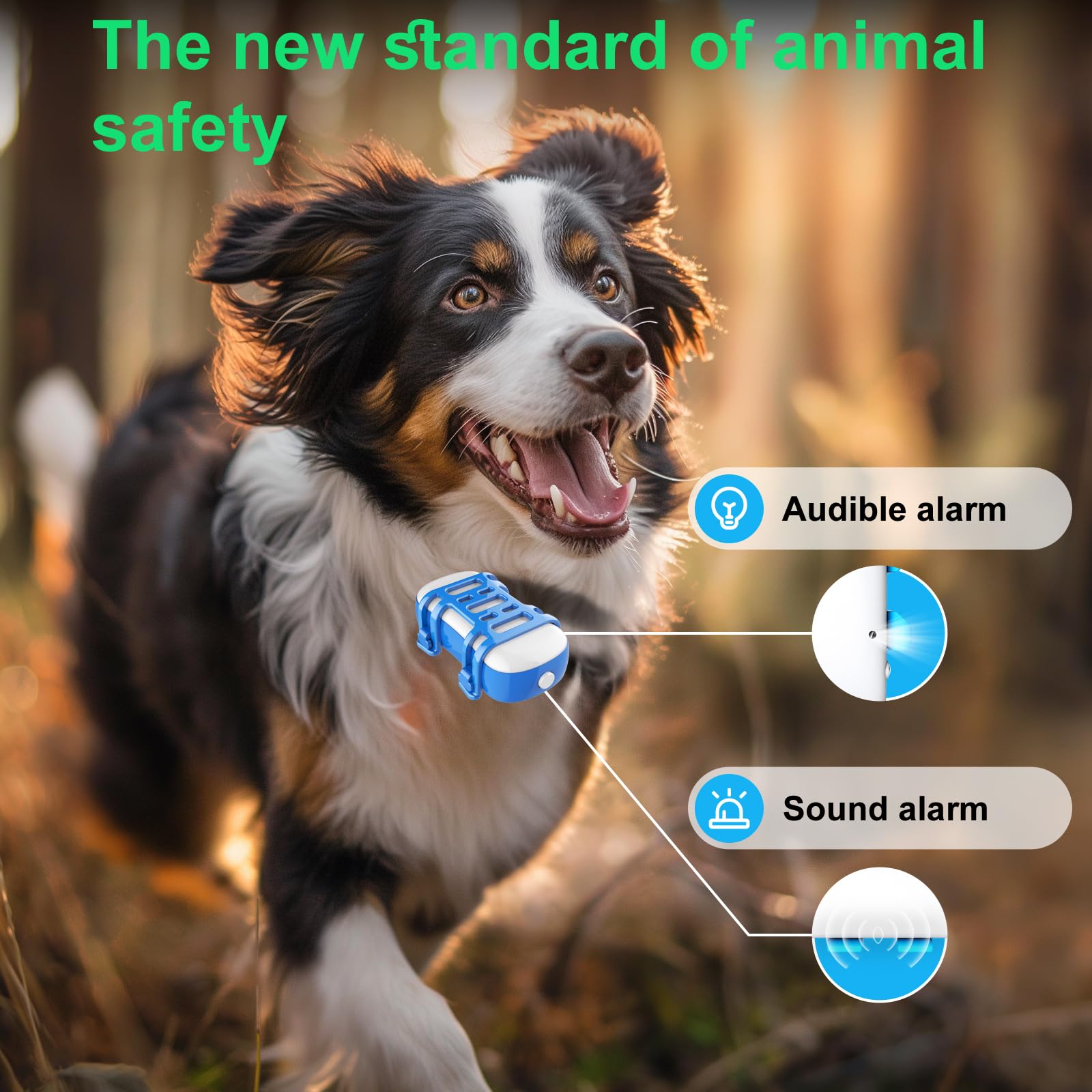 wanwaytech GPS Dog Tracker, Blue and white, Uniform size - Image 3