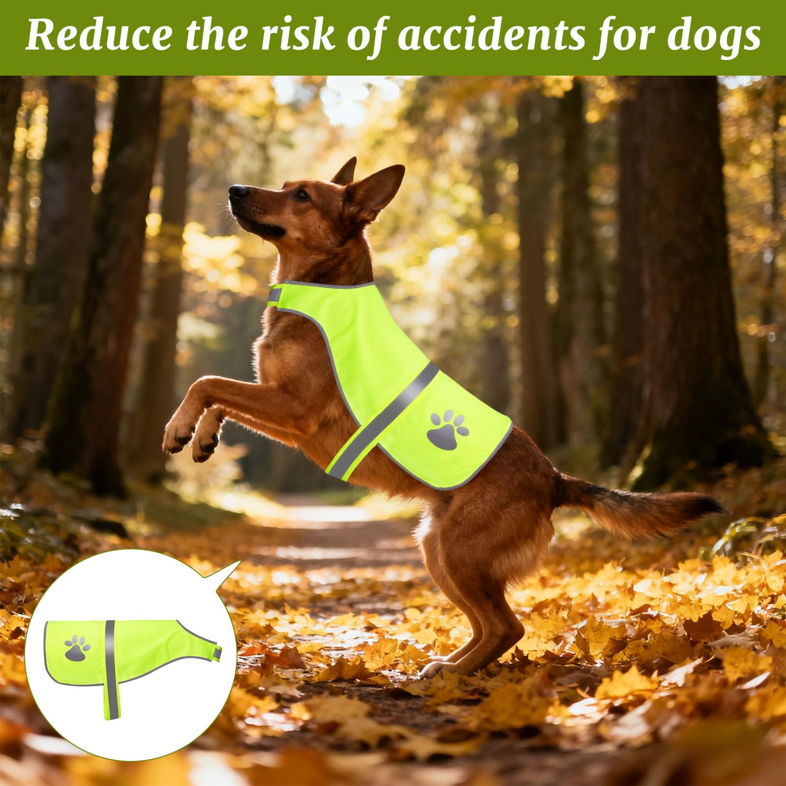 Gilet Jaune Chien, Gilet Fluo pour Chien, Gil et Fluo Ch ien, Gi Let Reflechissant C Hien, Gil et Chi en Fluo pour Promenades Nocturnes et Activités Extérieures Petit Grands Chi ENS