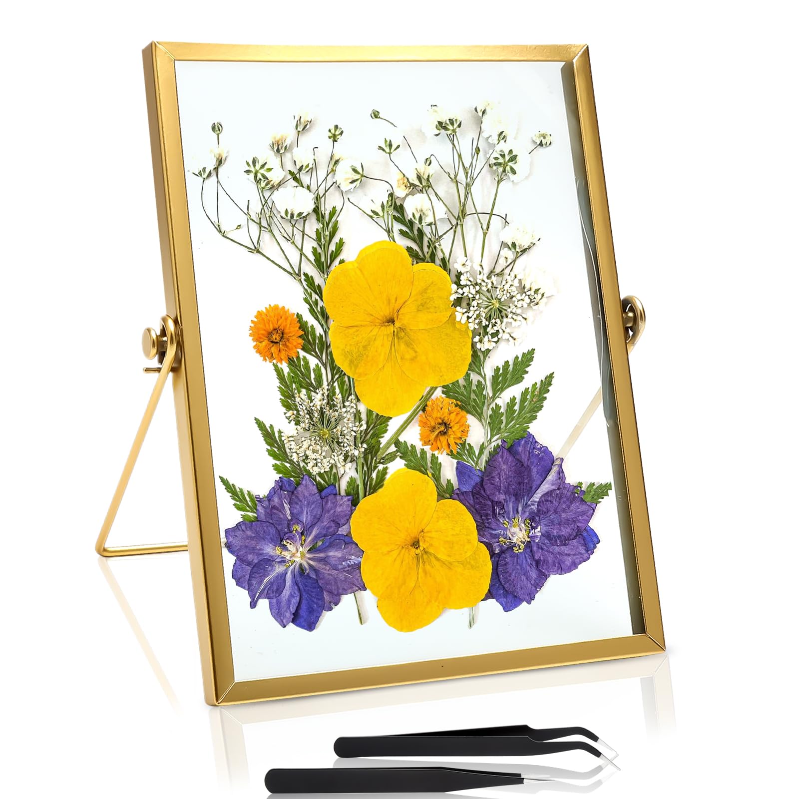 Gold Glass Picture Frame 15x20 β Elegant Floating Glass Photo Frame with Metal Stand β Double Glass Frame for Photos, Pressed Flowers, Certificates, Wedding & Home DΓ©cor β Includes 2 Tweezers