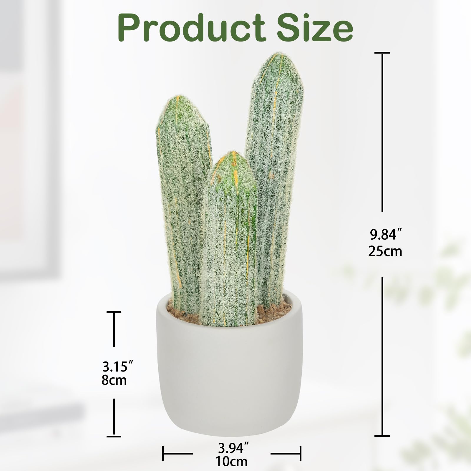 monstera esqueleto Buy Monstera Esqueleto