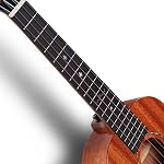 Enya EUC-MAD Concert Ukulele Solid Gloss Mahogany Original Color 23 Inch with High-end 15mm Padded Gig Bag