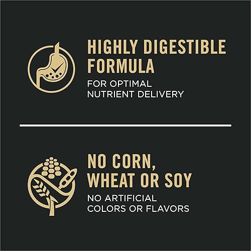 Miniatura 8 de Purina Pro Plan Sensitive Skin  Stomach High Protein Dry Dog Food