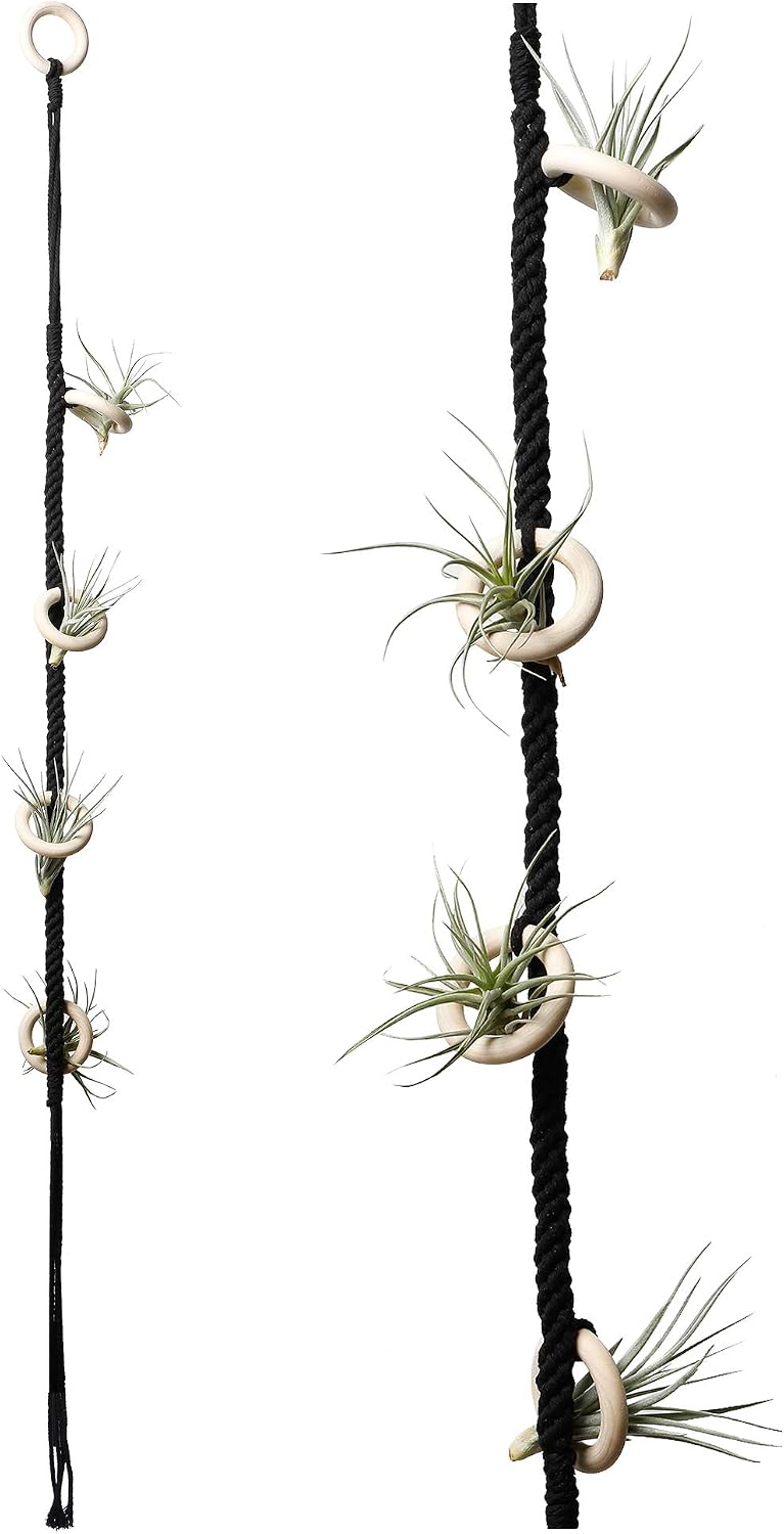 POTEY 602102 Hanging Air Plant Holders - Air Plant Hanger for 4 Pcs Air Plants Hanger Tillandsia Handmade Cotton Rope Airplant Rack for Home Decor 1-Pack 40'',Black