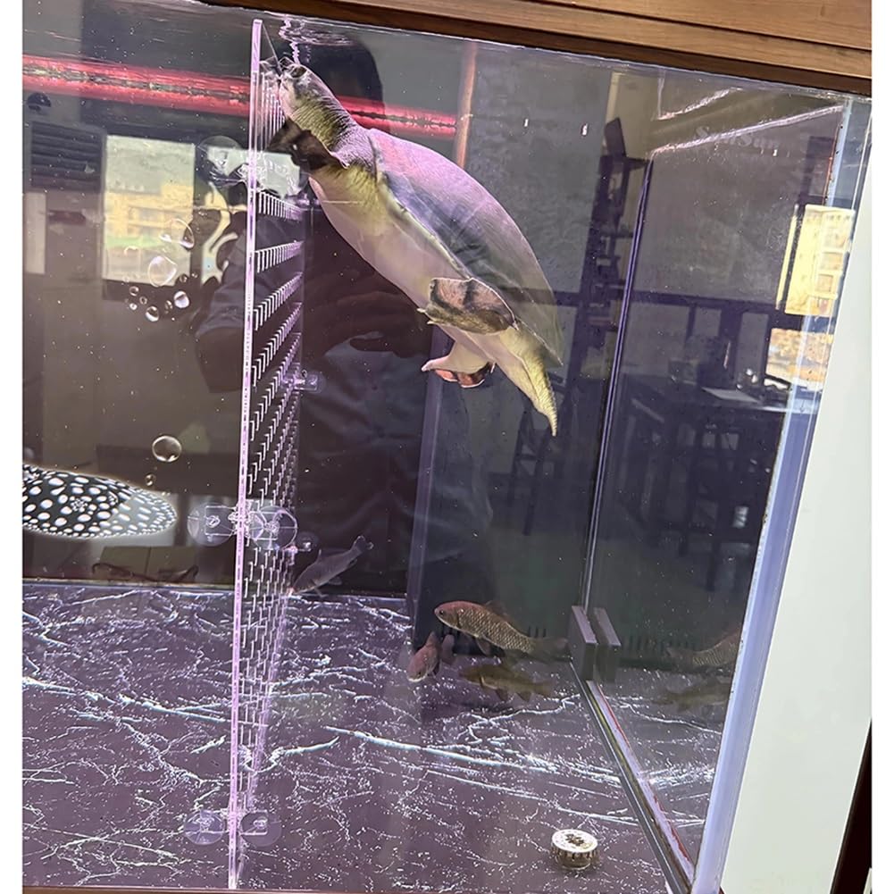 Separador de acuario, separador acrílico con ventosas para freír y camarones, aislamiento de seguridad y barrera de lucha