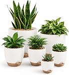 Bamworld 6 Pack Indoor Plant Pots Shelf Watering Planters for Indoor Plants with Drainage Hole Plastic Plant Pot for Home Gardening Containers(Black)