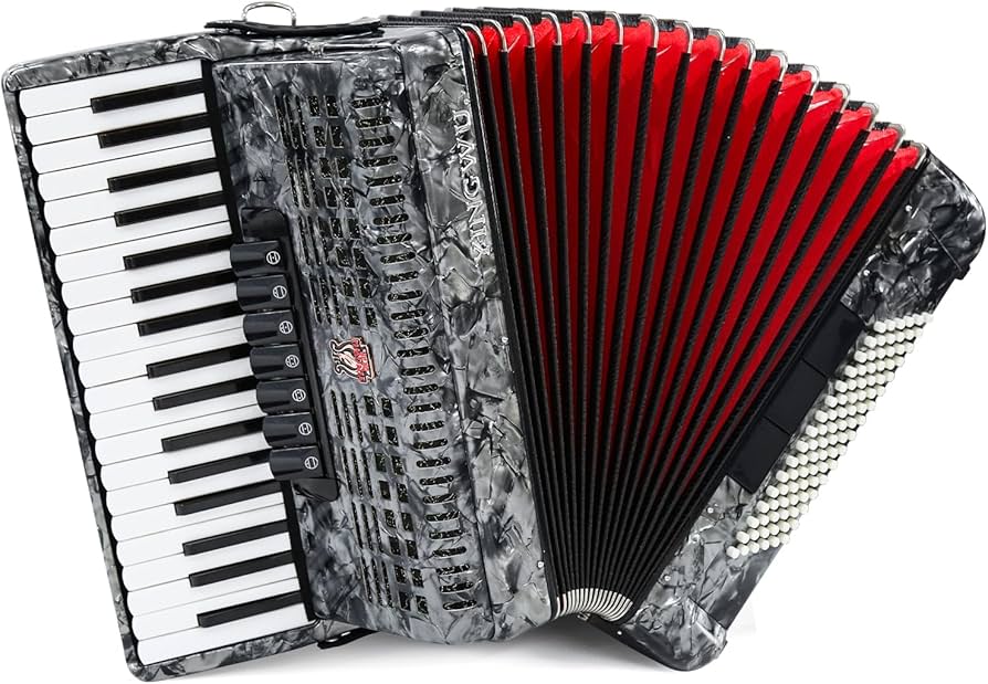 KAWAI アコーディオン37鍵 96ベース　現状　ジャンク Amazon.com: Accordion, 37 Keys 96 Bass Professional Accordion for